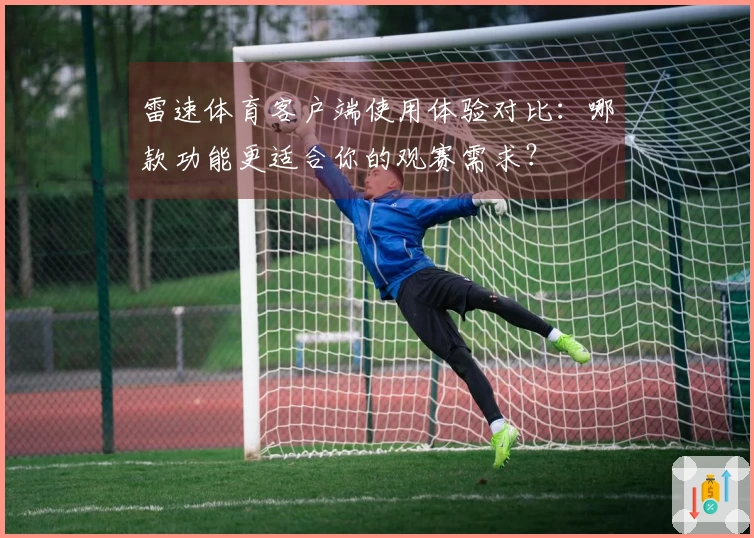 雷速体育客户端使用体验对比：哪款功能更适合你的观赛需求？